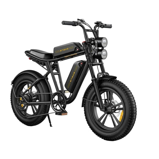 ENGWE M20 Electric Bike 25 km/h Dual Suspension Double Battery Long Range
