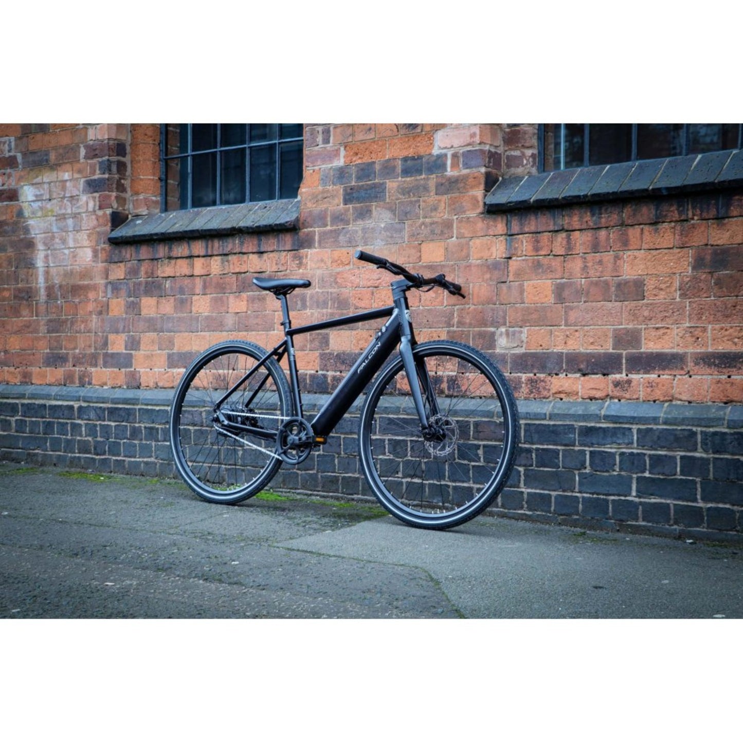 Falcon Zone Electric Bike standing