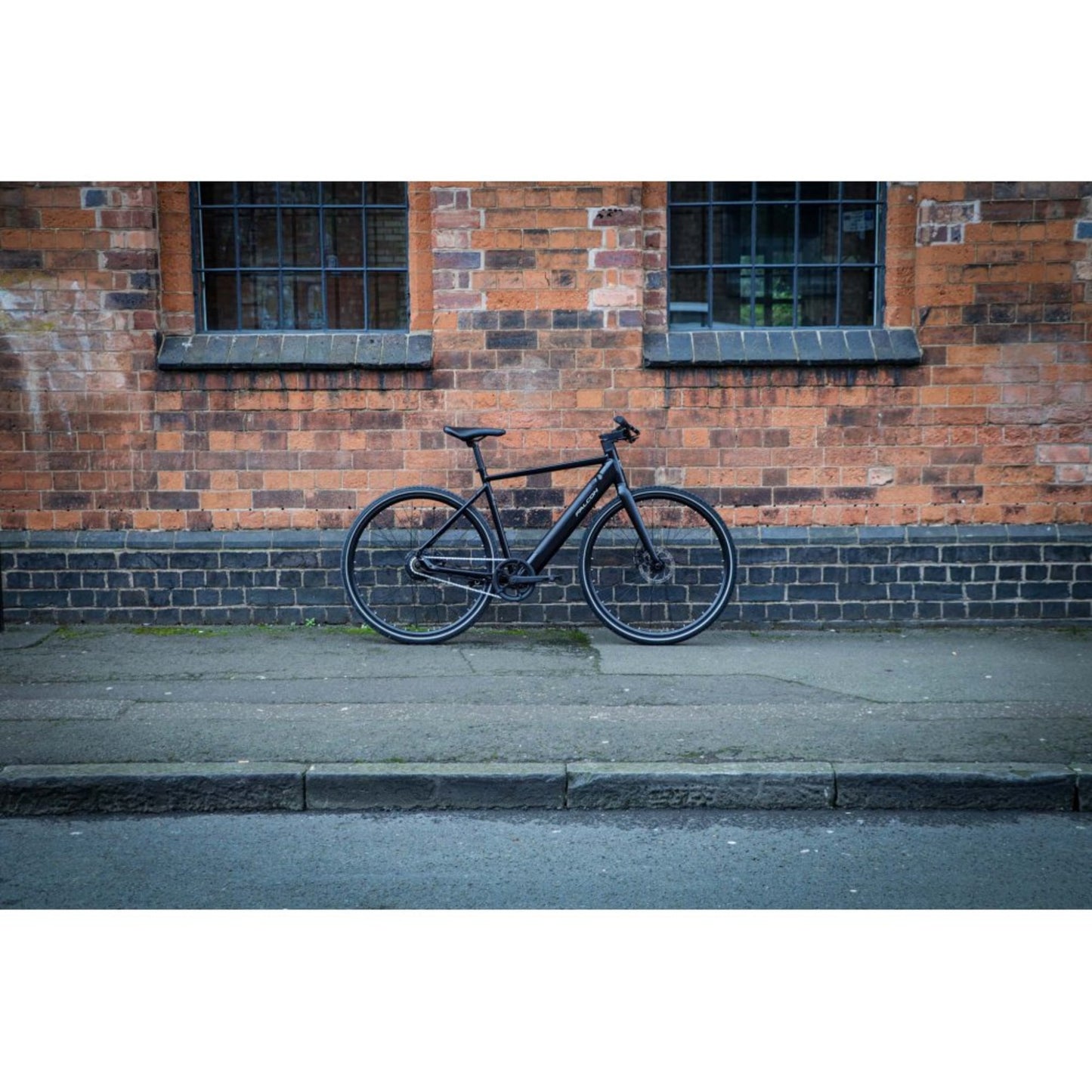 Falcon Zone Electric Bike wall