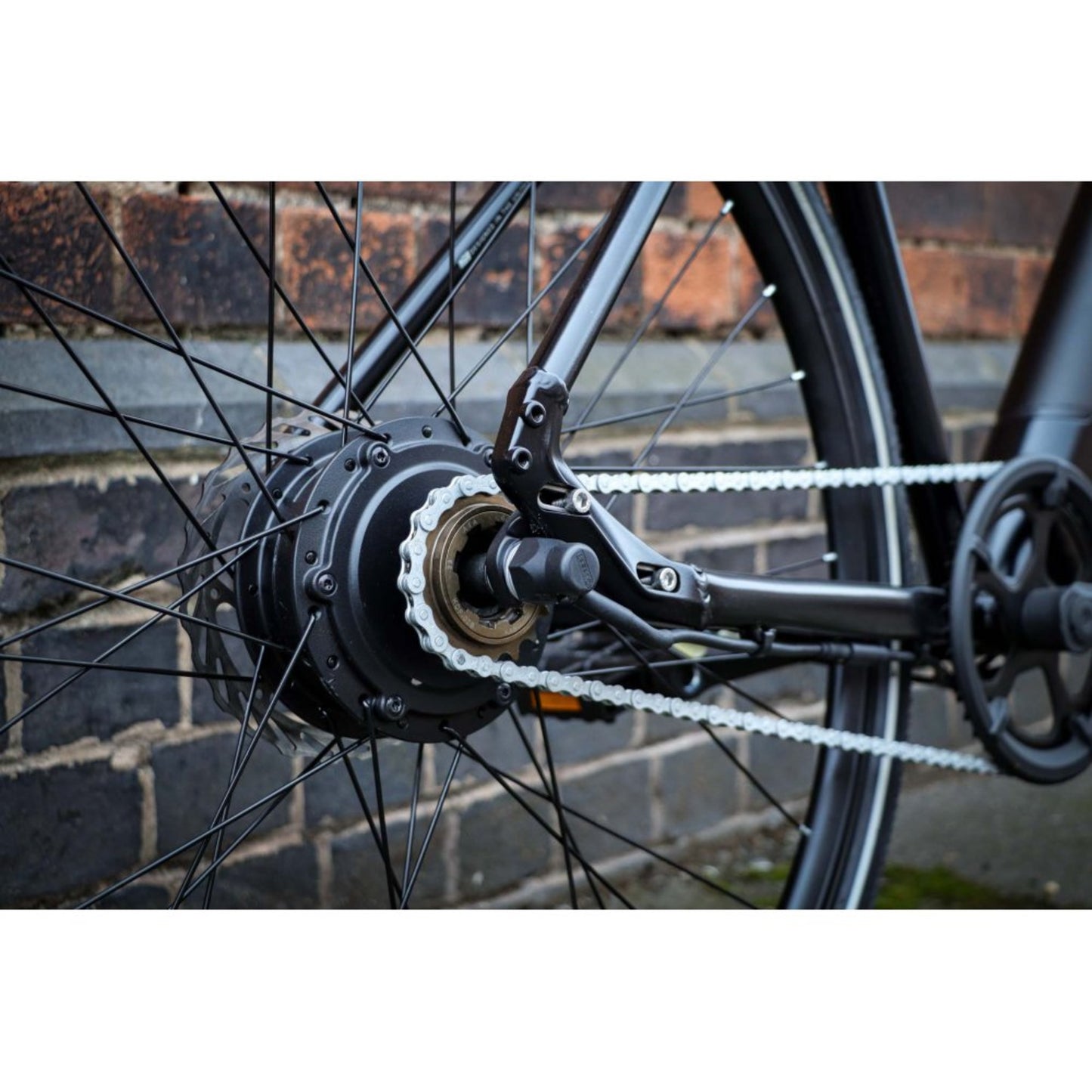 Falcon Zone Electric Bike chain