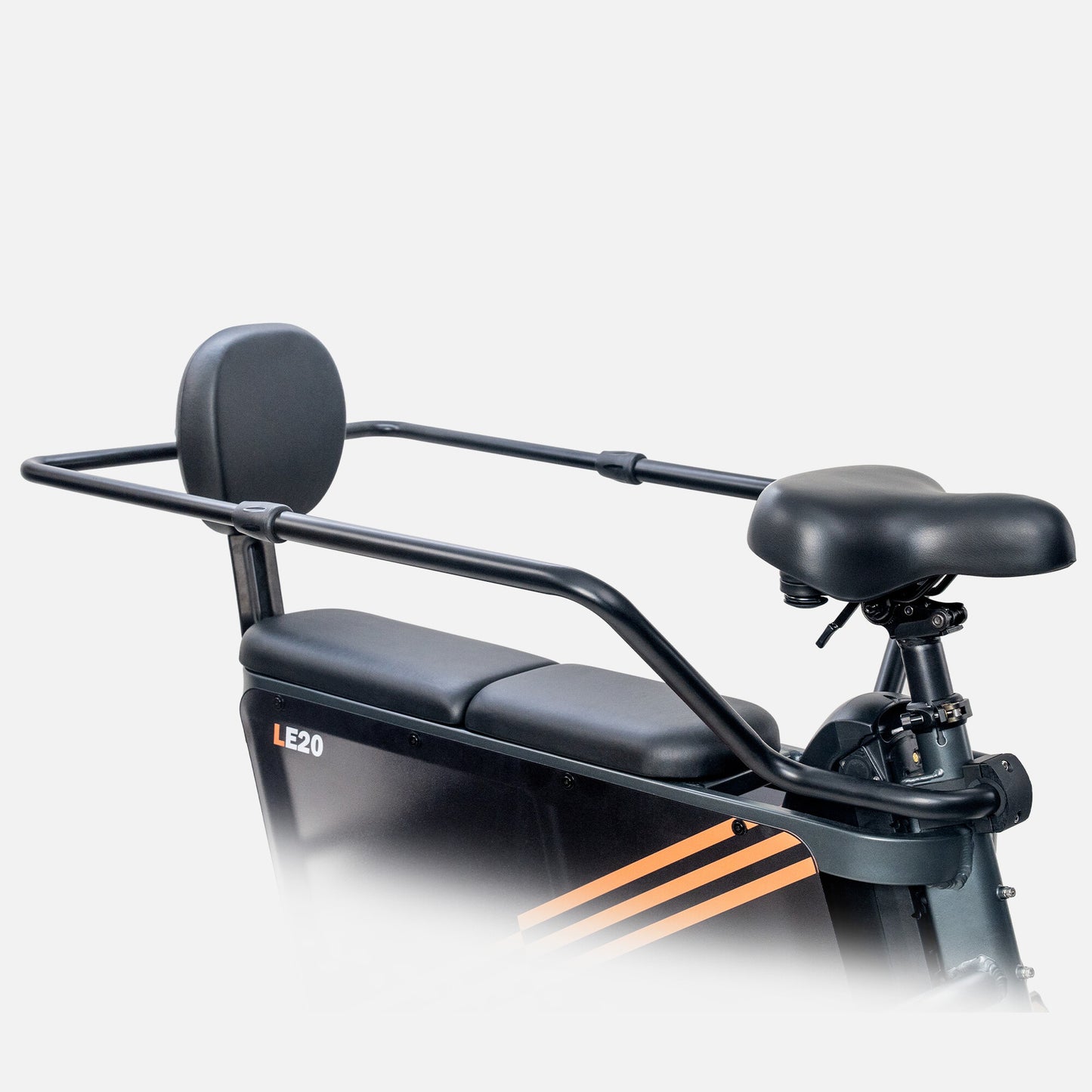 ENGWE LE20 Electric Bike 250W Mid-drive Torque Sensor Step-Thru Cargo Ebike