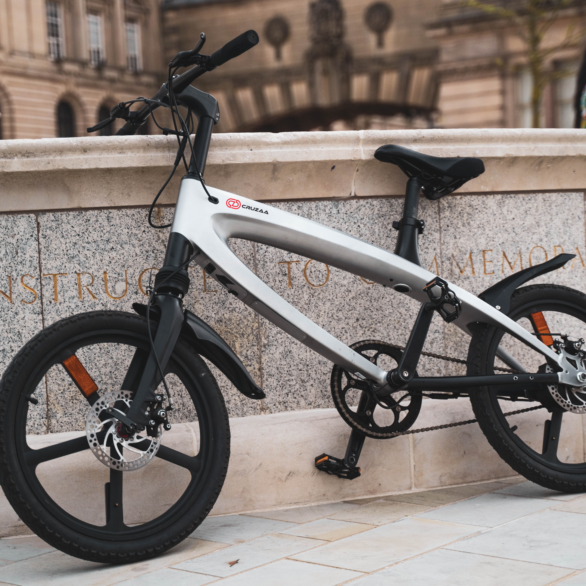 Cruzaa Carbon Black Electric Bike Wall