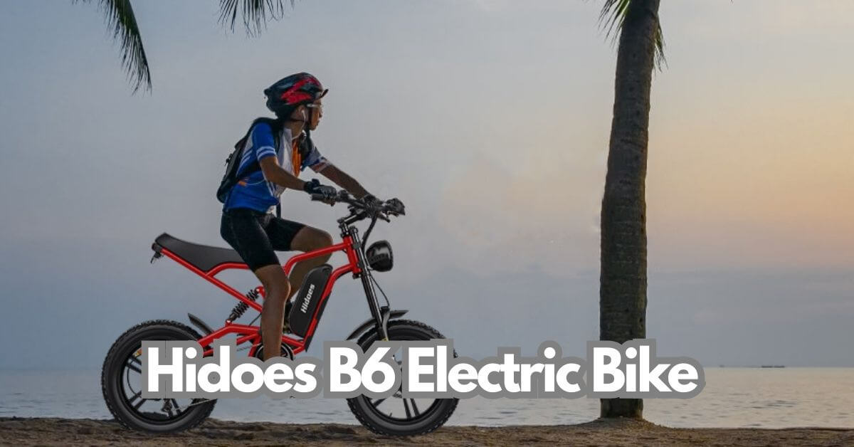 Hidoes b6 electric bike review