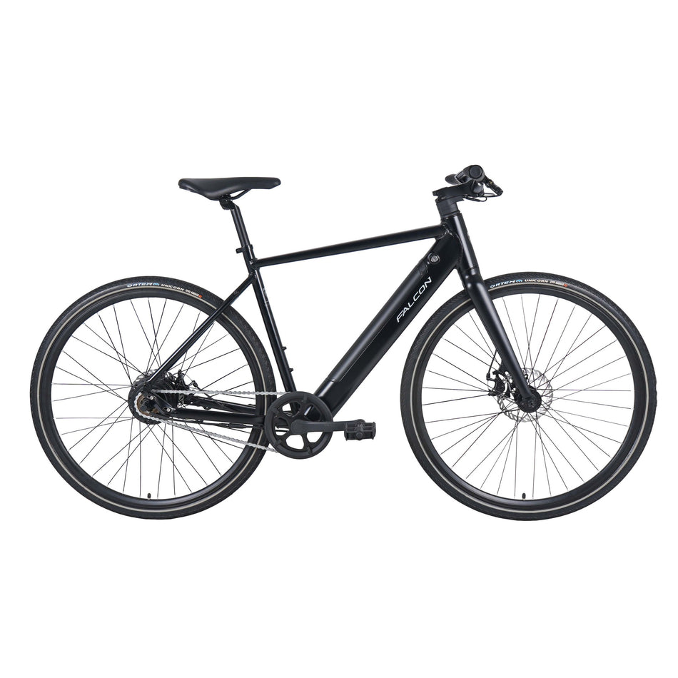 Falcon Zone Electric Bike full
