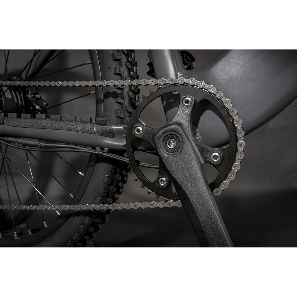 Claud Butler Wrath 1.0 Cues Electric Bike pedal