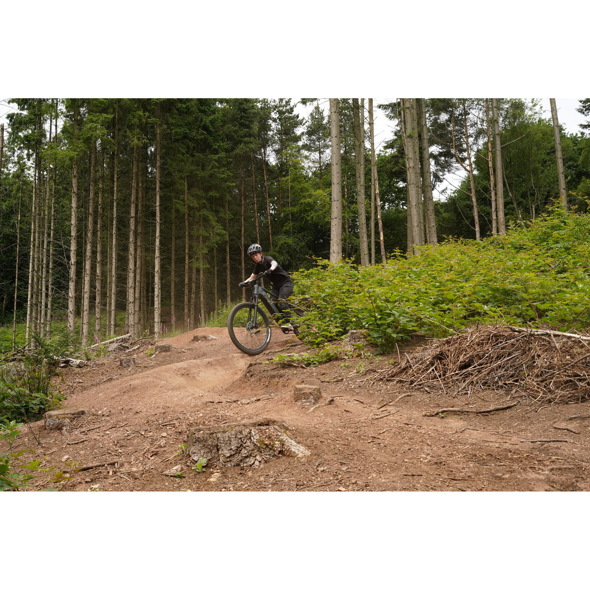 Claud Butler Wrath 1.0 Cues Electric Bike nature view