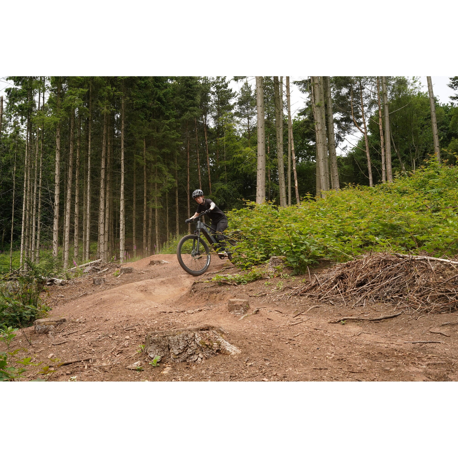 Claud Butler Wrath 1.0 Cues Electric Bike nature view