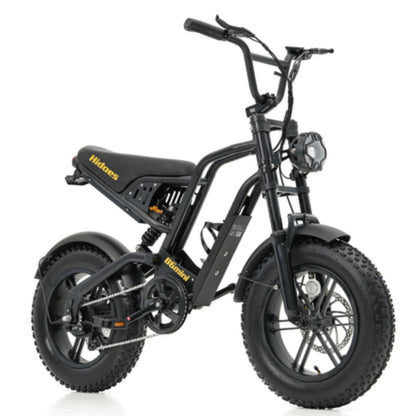 Hidoes B6 Mini Electric Bike With 48v 10ah Battery & 16" Fat Tire For Teens