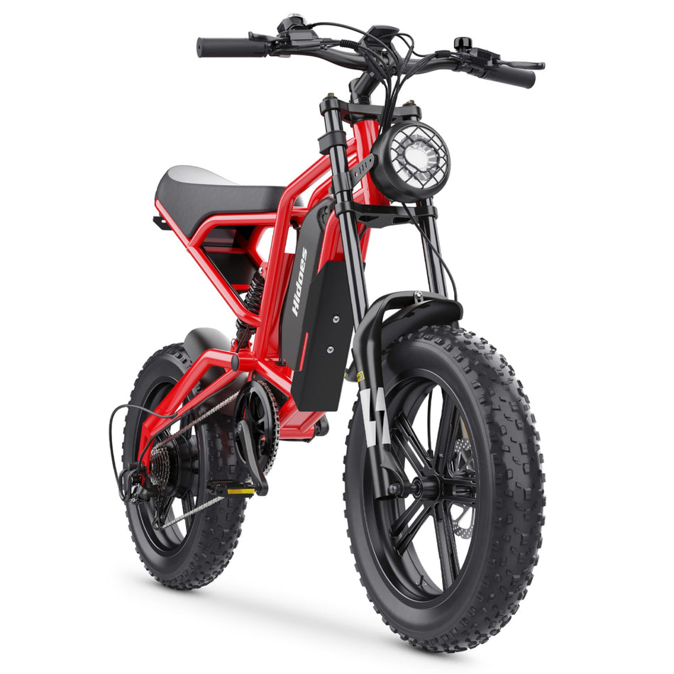 Hidoes B6 Fat Tyre Electric Bike 1200W 48V 15.6Ah