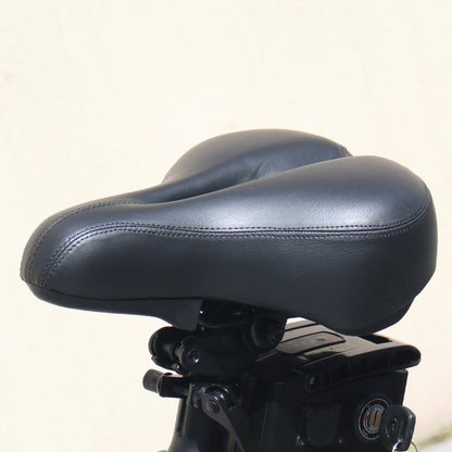 Hidoes C5 Electric Bike Compact & Smart With 250W Motor, 36V 10.4Ah Battery