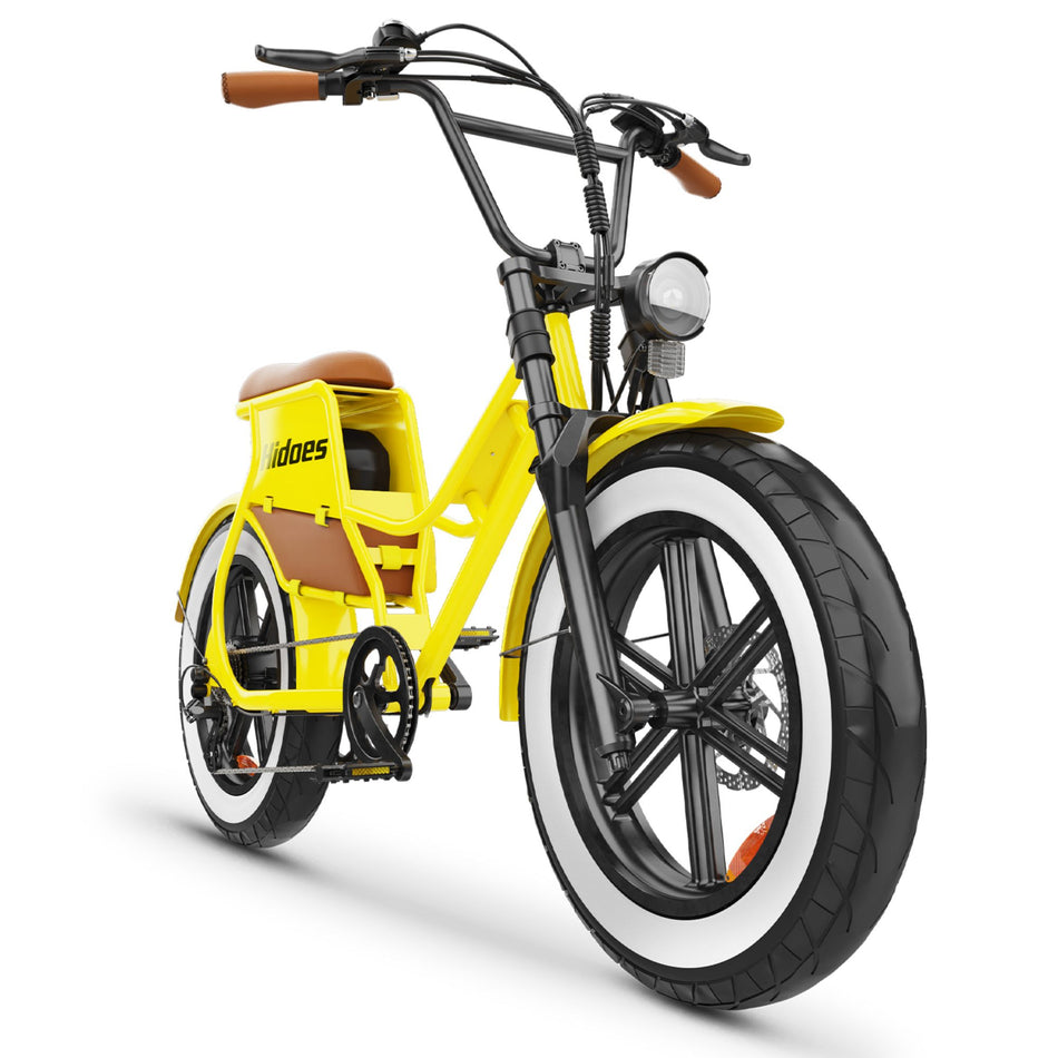 Hidoes C8 Electric Bike With 250W Rear Hub Motor 48V Capacity 17Ah Removable Battery
