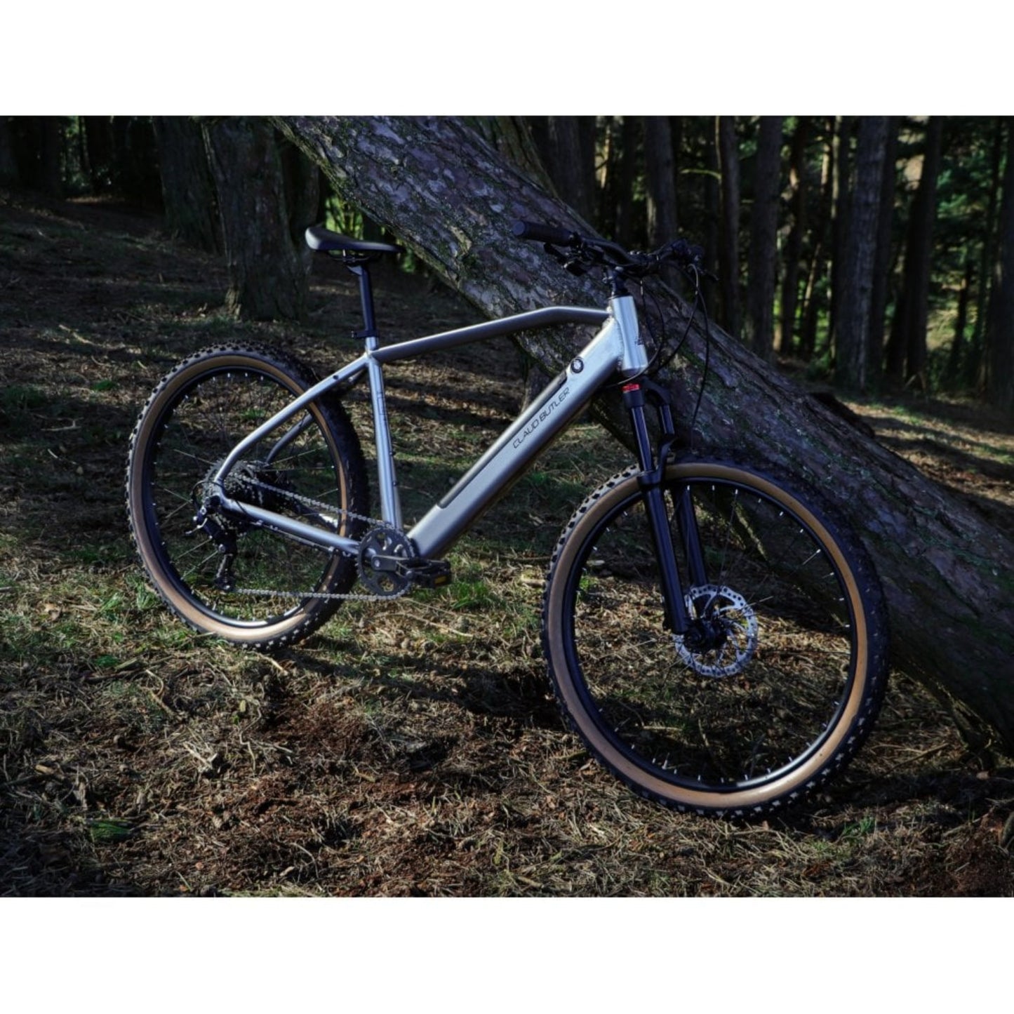 Claud Butler Ridge 2.0 Electric Bike nature