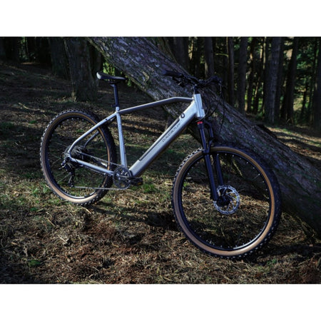 Claud Butler Ridge 2.0 Electric Bike nature
