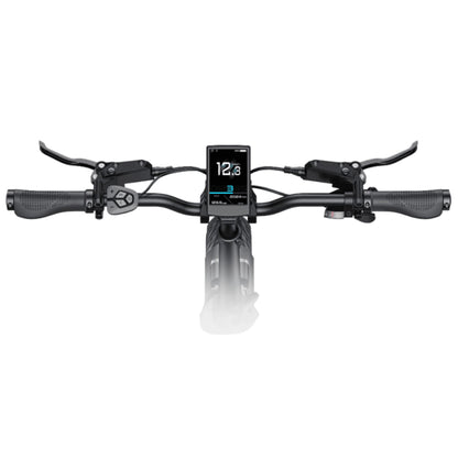 Engwe L20 3.0 Pro Electric Bike With 250W 100Nm Mid-drive Motor Full Suspension