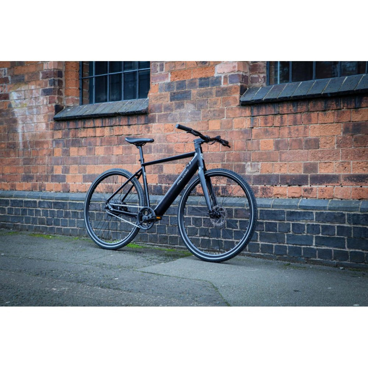 Falcon Zone Electric Bike standing