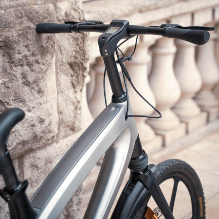 Cruzaa Carbon Black Electric Bike Frame 